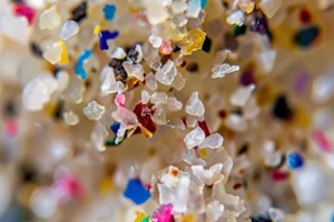 microplastics in the ocean
