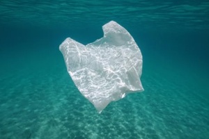 white plastic bag in the sea