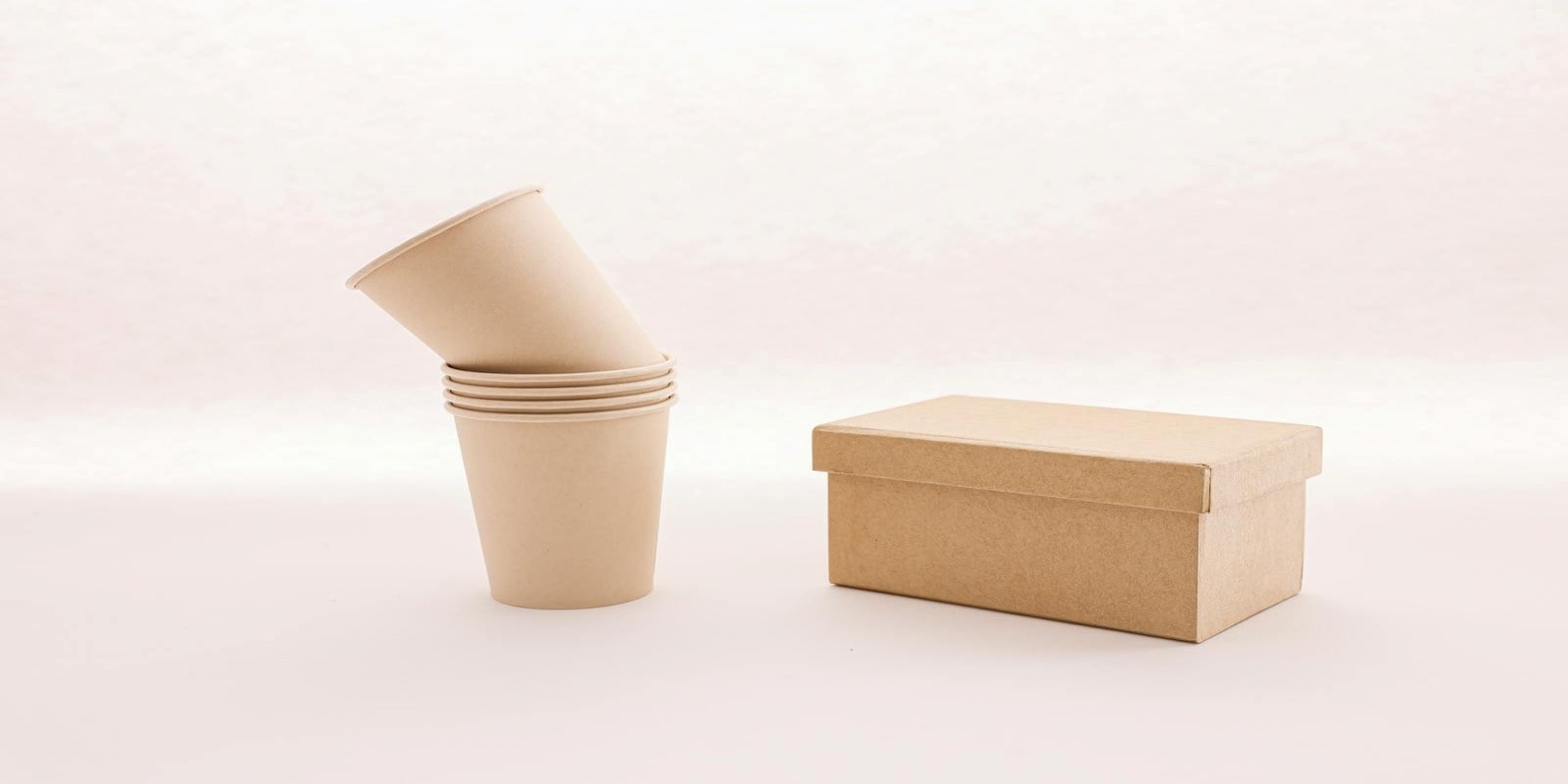 Box and Cups Made of Biodegradable Polymer