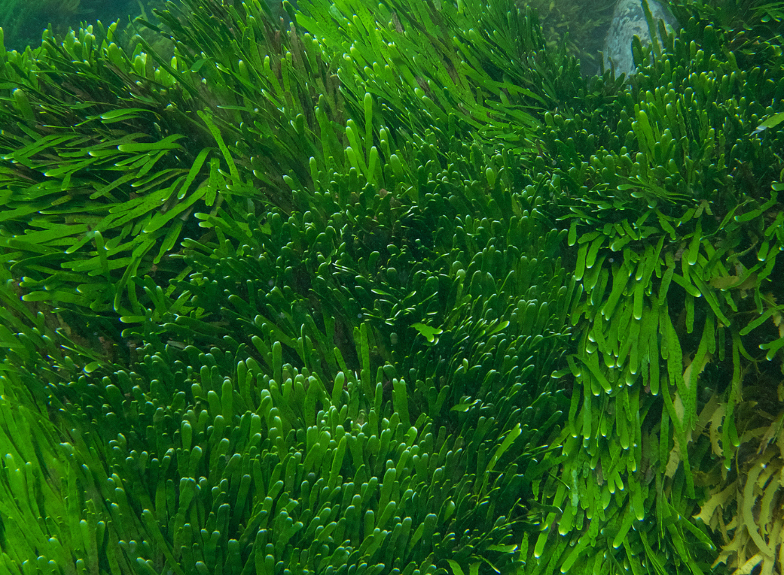 plastics-image-2