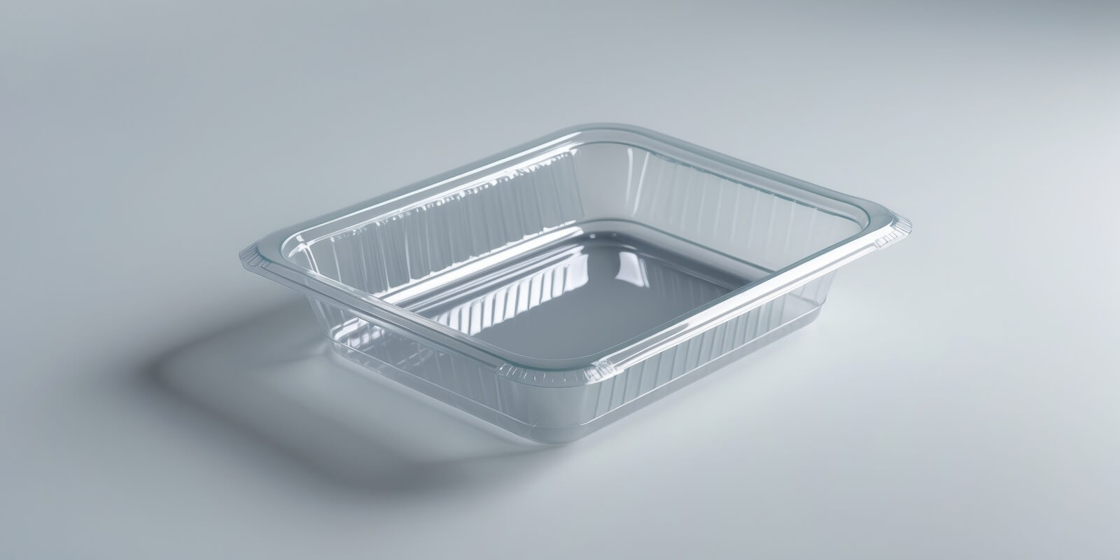 view of disposable plastic food box isolated on a white background